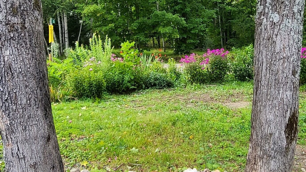 Photo of Outdoor in Goulais River