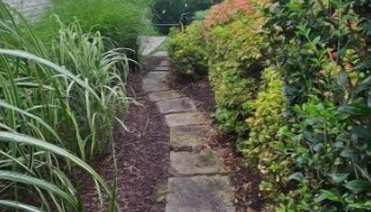 Photo of Outdoor in Liberty