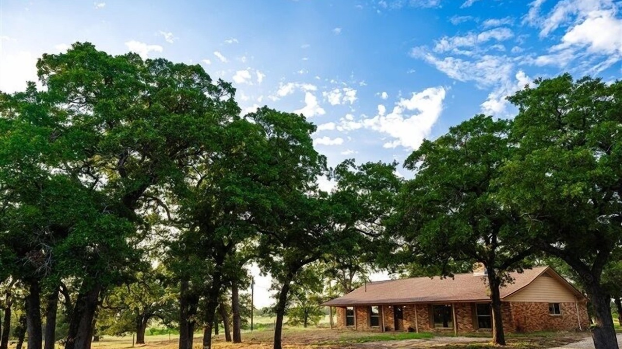 Photo of Outdoor in Milam County