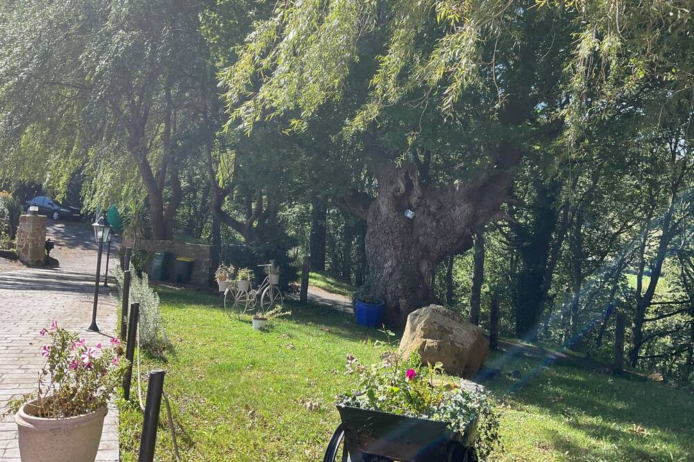 Photo of Outdoor in Traslavina