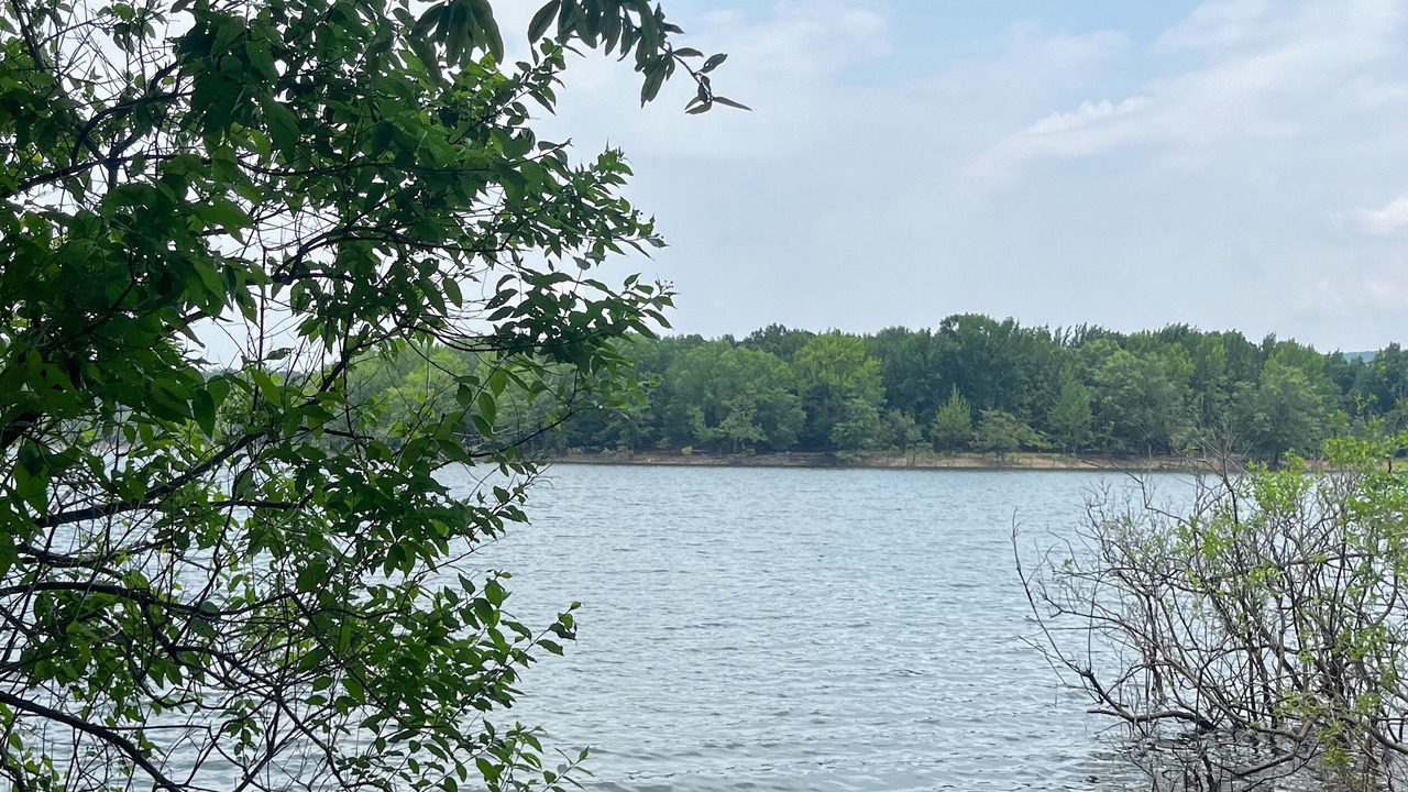 Photo of Outdoor in Shirley