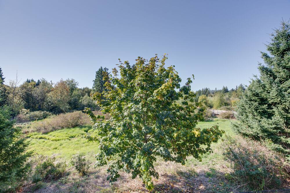 Photo of Outdoor in Bull Mountain