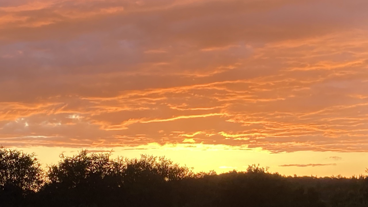 Photo of Outdoor in Auburn