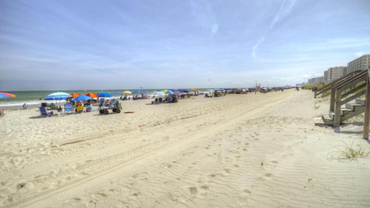 Photo of Others in Crescent Beach
