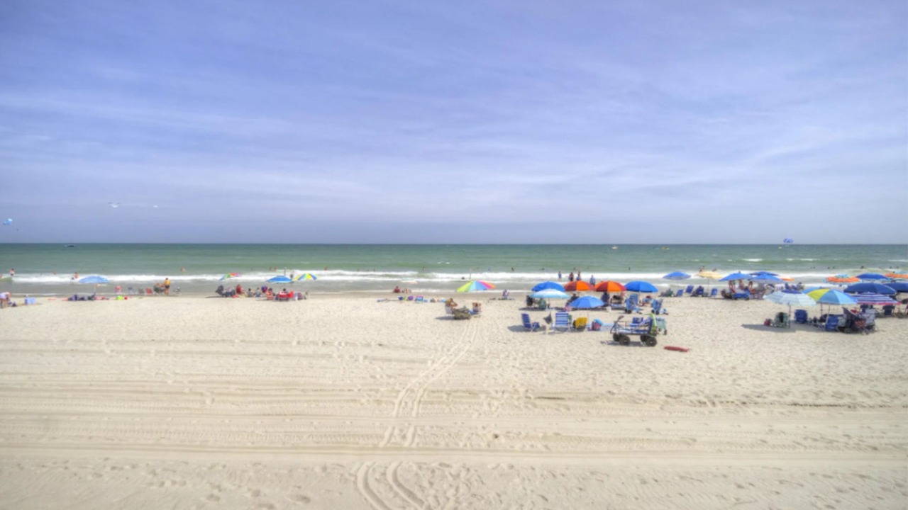 Photo of Others in Crescent Beach