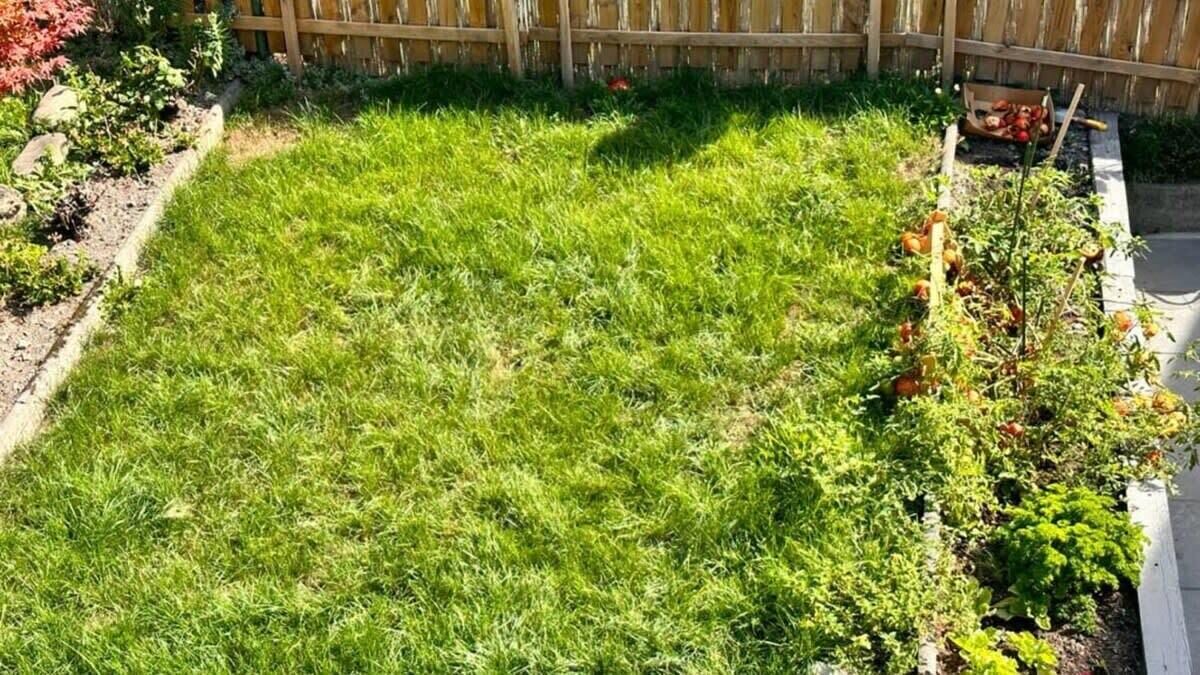 Photo of Outdoor in Rougemont