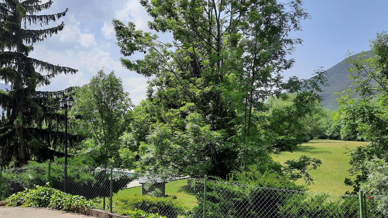 Photo of Outdoor in Biescas