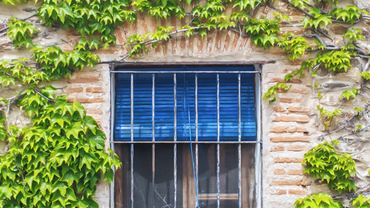 Photo of Outdoor in Domingo Garcia