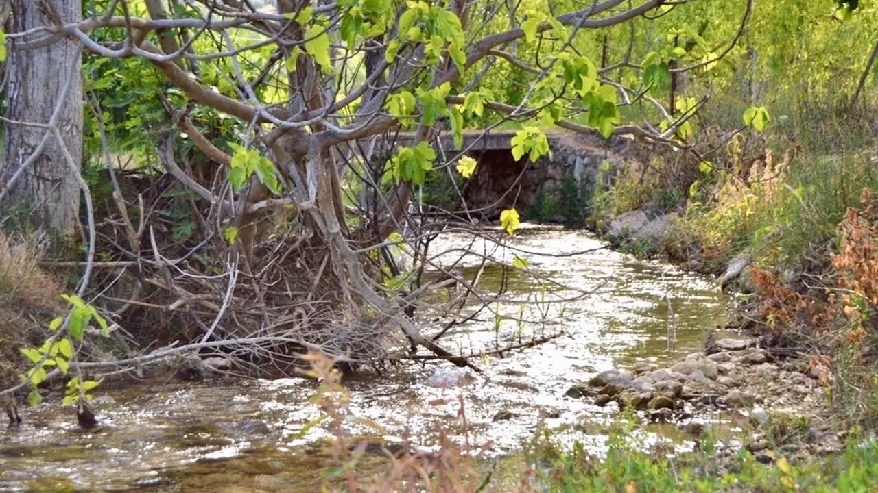Photo of Others in Siles