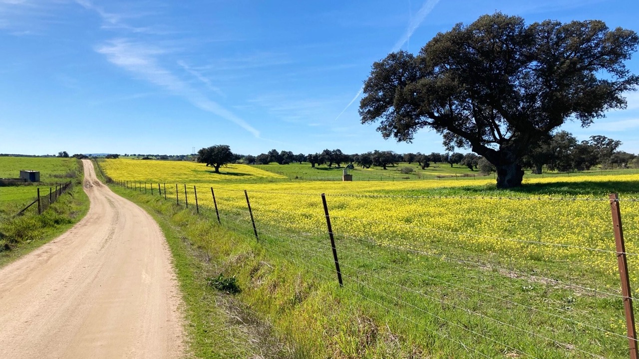 Photo of Outdoor in Villanueva del Duque