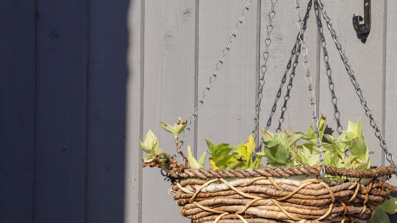 Photo of Others in Margate