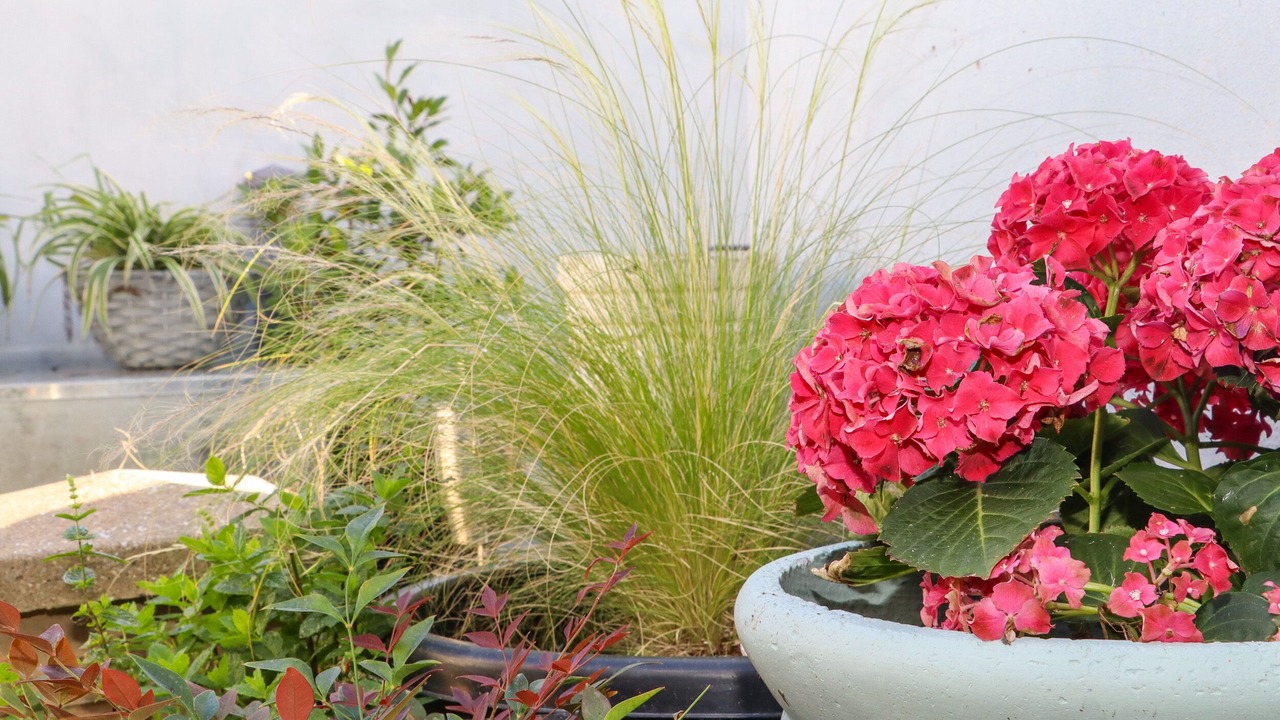 Photo of Outdoor in Margate