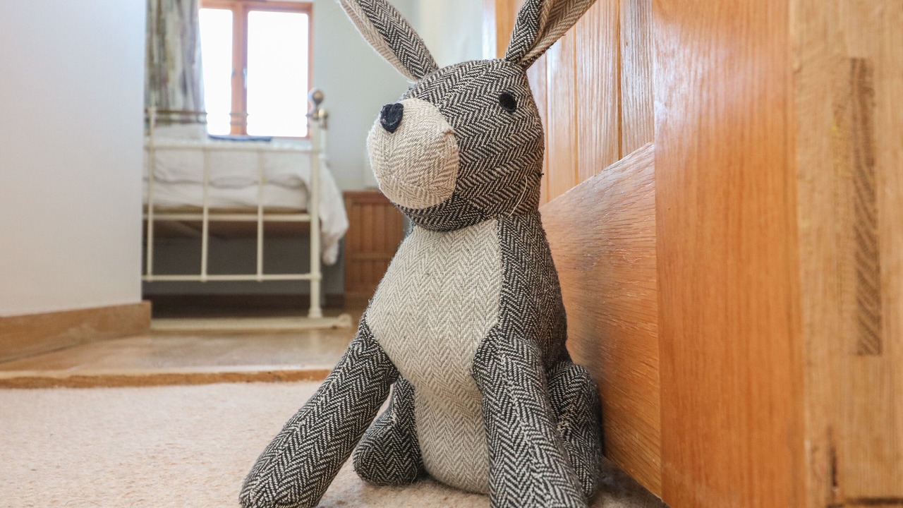 Photo of Others in Totnes