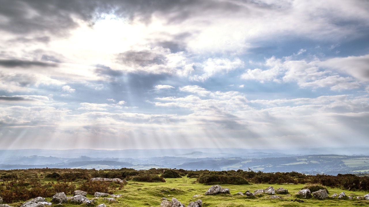 Photo of Others in Totnes