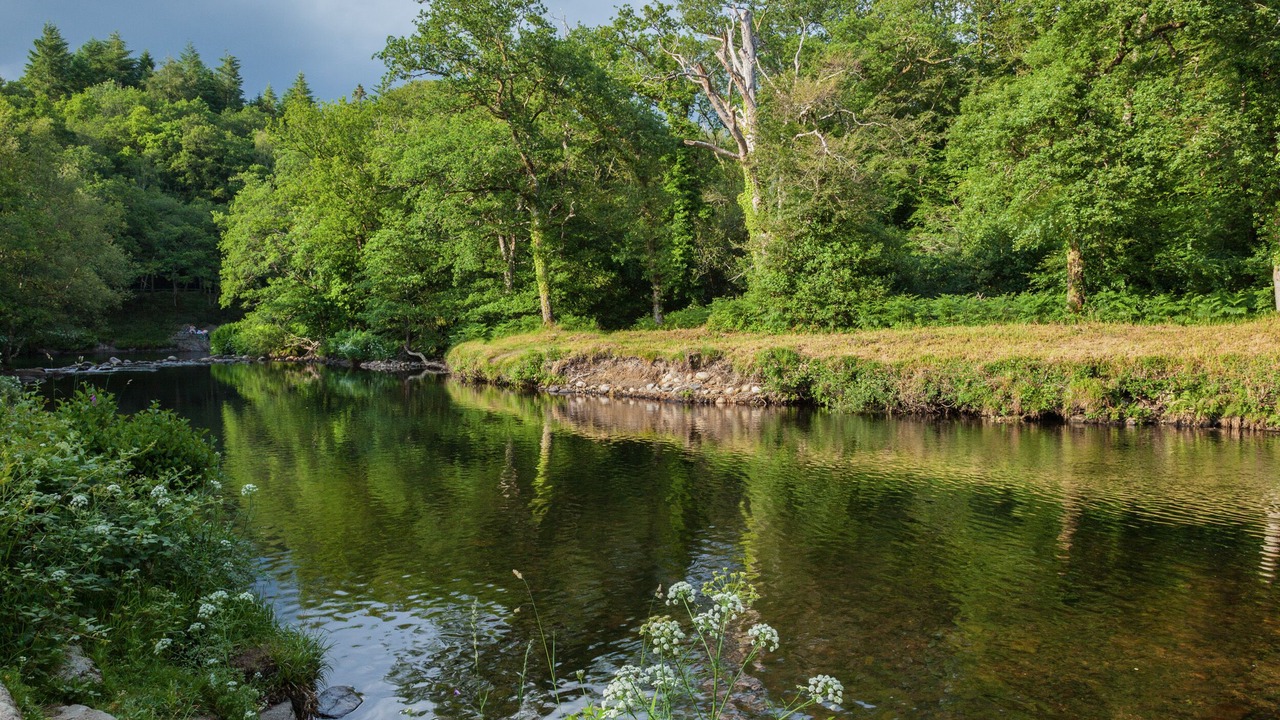 Photo of Outdoor in Totnes