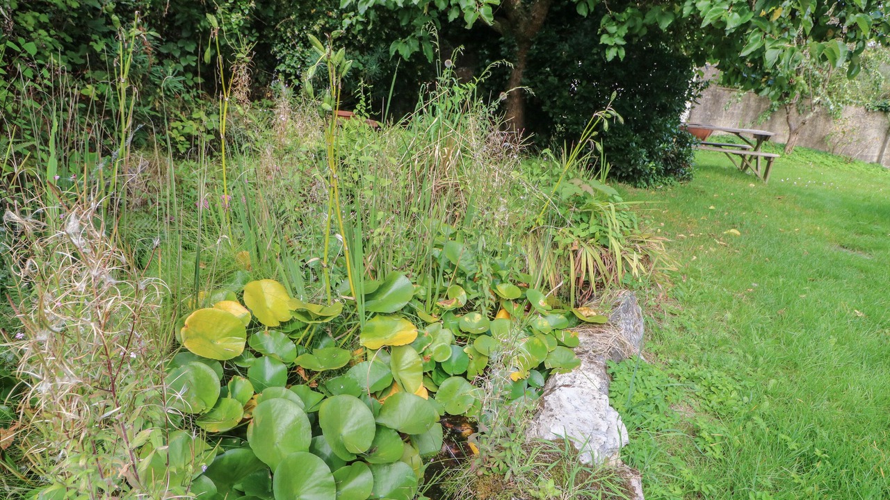 Photo of Others in Totnes