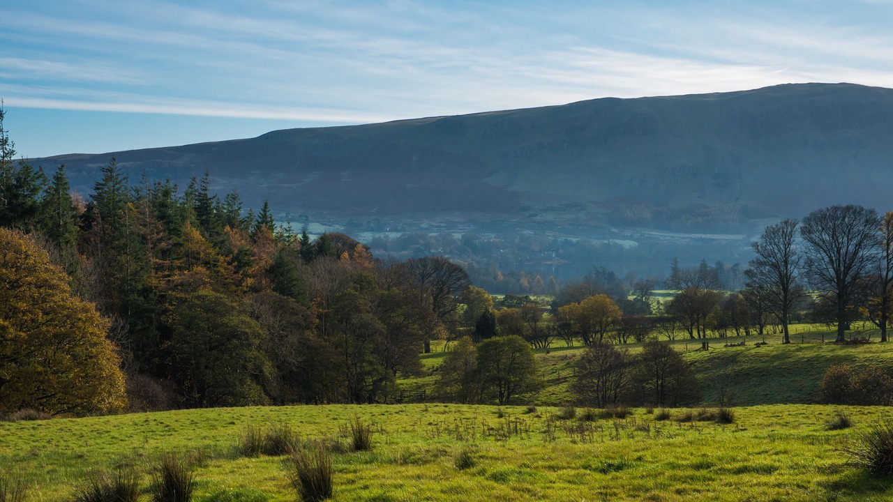 Photo of Others in Penrith