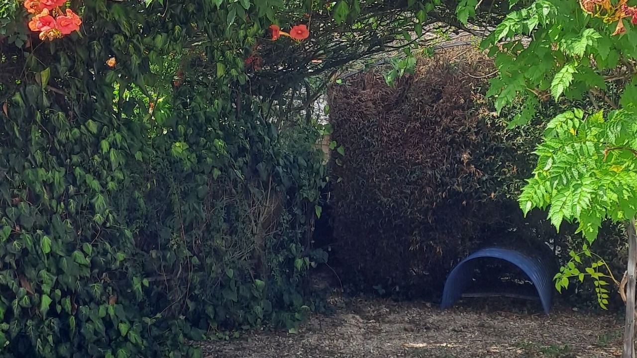 Photo of Outdoor in Torcenay