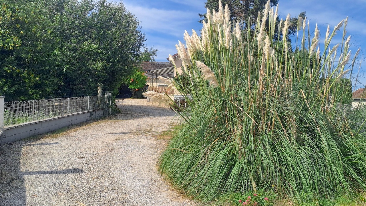 Photo of Outdoor in Torcenay