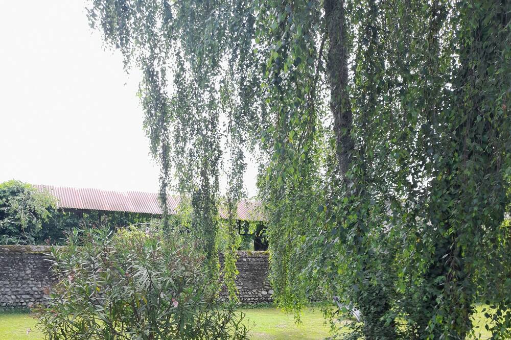 Photo of Outdoor in Laloubere