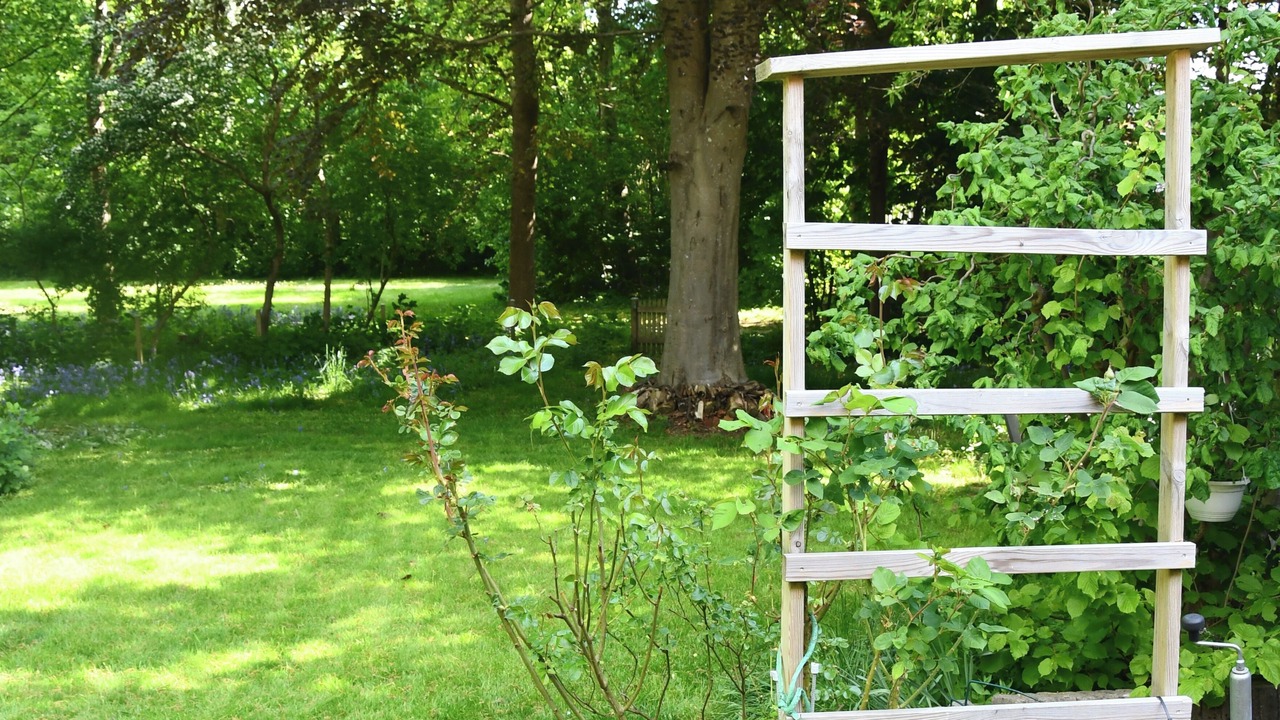 Photo of Outdoor in Gram