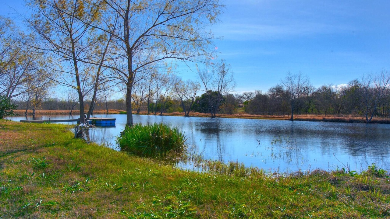 Photo of Outdoor in New Braunfels