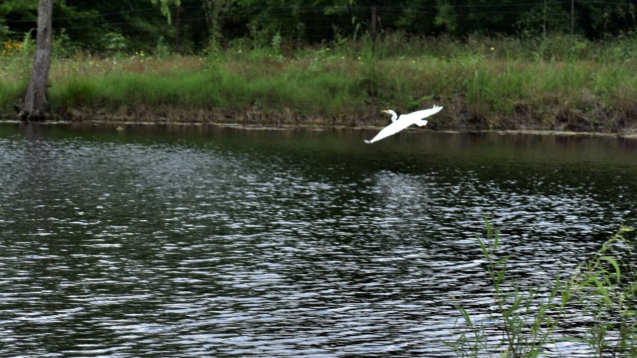 Photo of Outdoor in New Braunfels