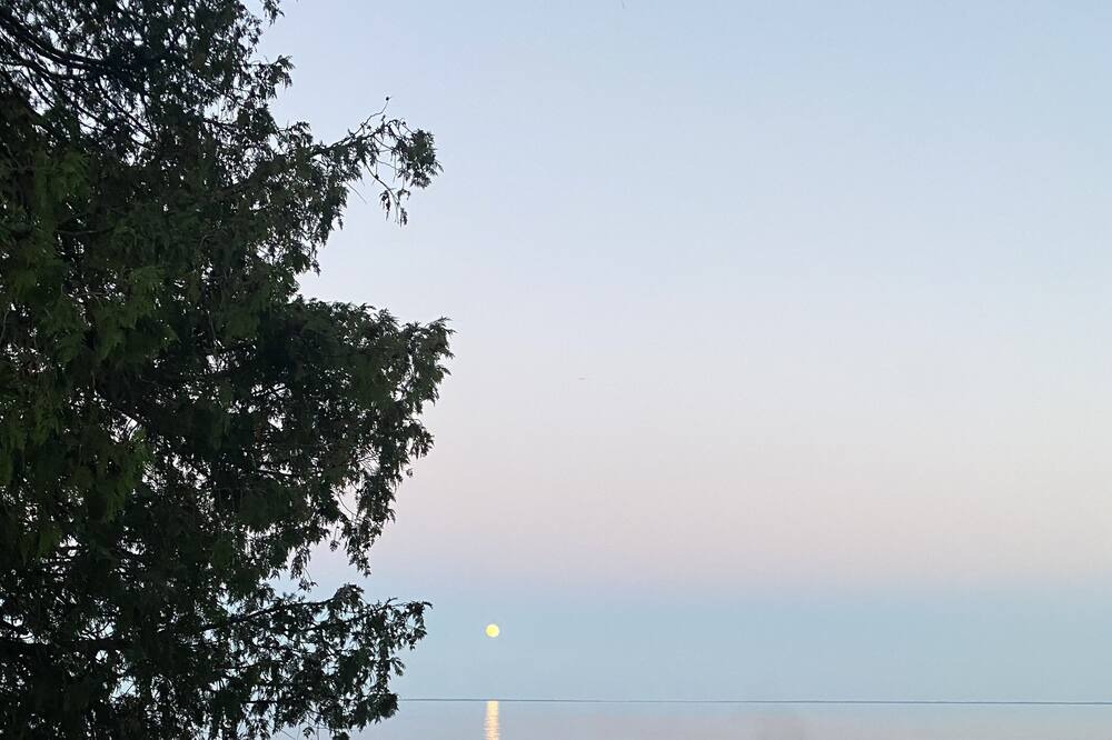 Photo of Others in Oro-Medonte