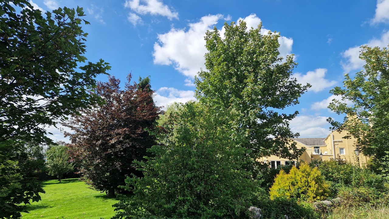 Photo of Outdoor in Knott End-on-Sea