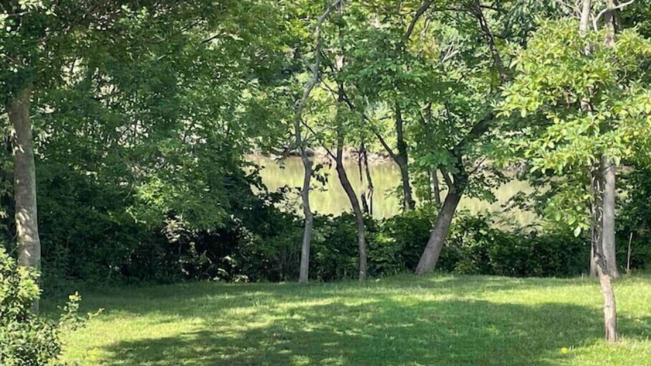 Photo of Others in Stevensville