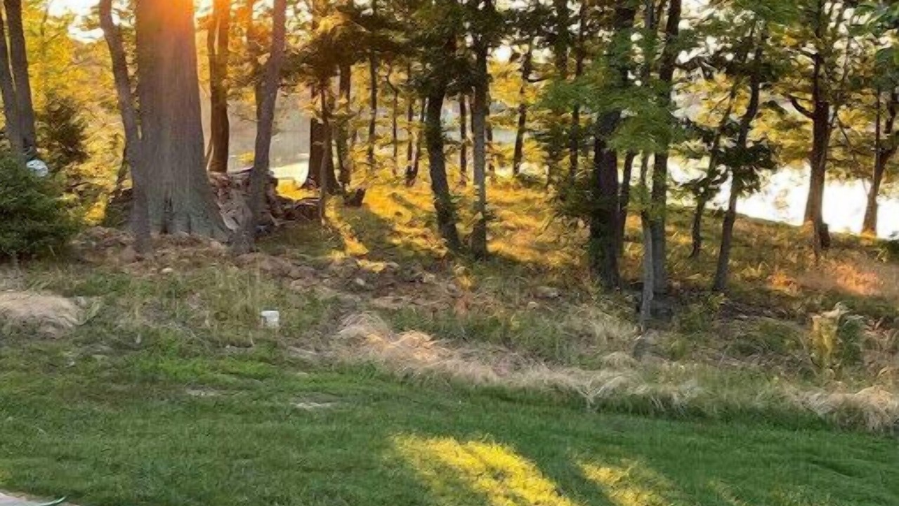 Photo of Others in Stevensville