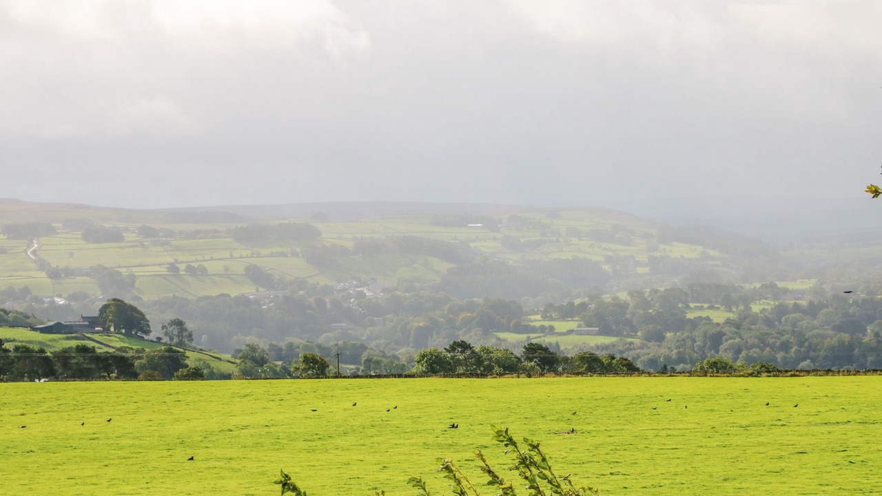 Photo of Others in Allendale