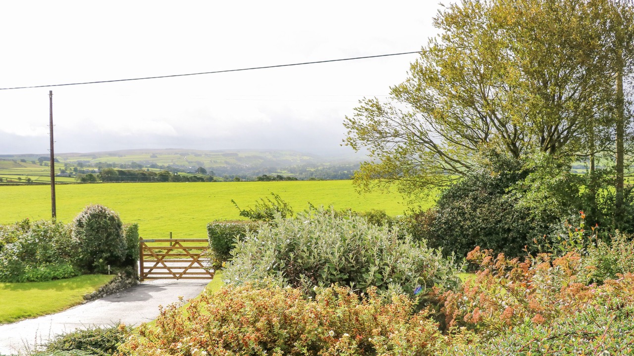 Photo of Outdoor in Allendale