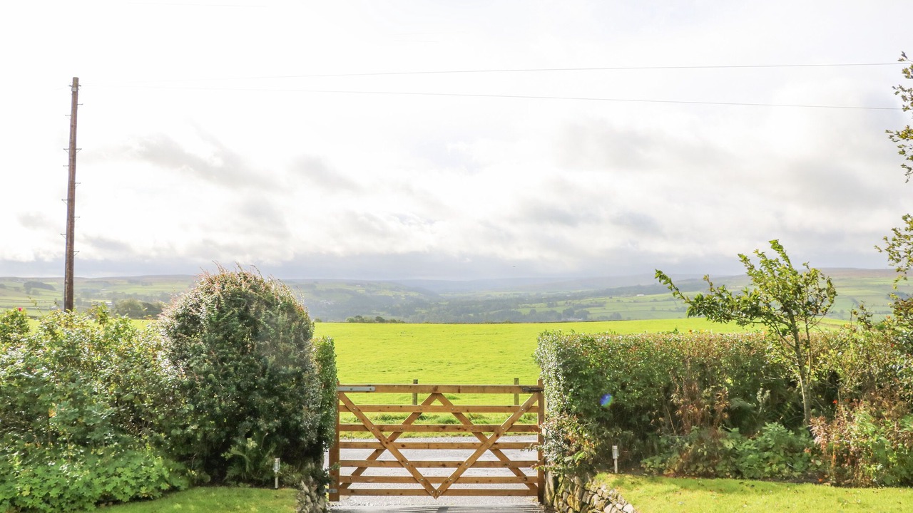 Photo of Outdoor in Allendale