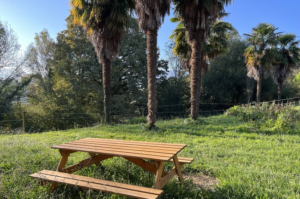 Photo of Outdoor in Gan