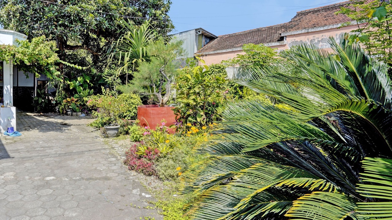 Photo of Outdoor in Rogojampi