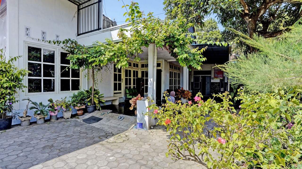 Photo of Outdoor in Rogojampi