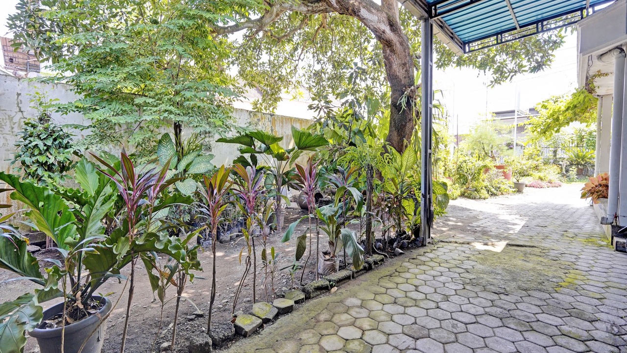 Photo of Others in Rogojampi