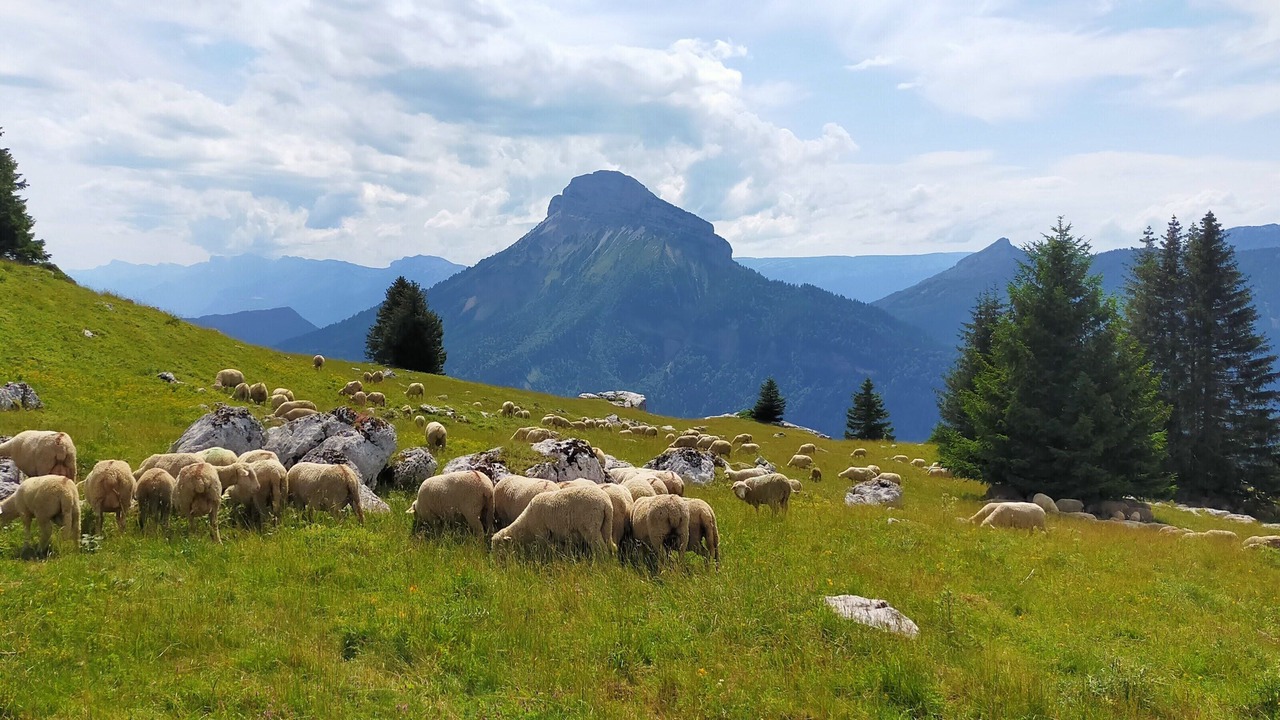 Photo of Outdoor in Les Echelles