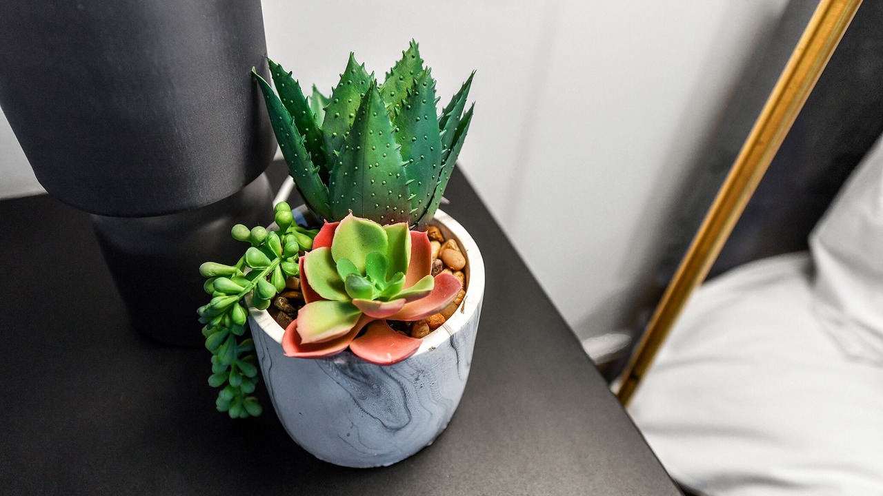 Photo of Others in Sneinton