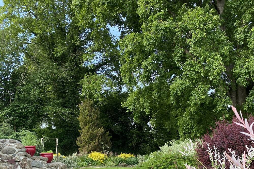 Photo of Outdoor in Saint-Cyr-du-Bailleul