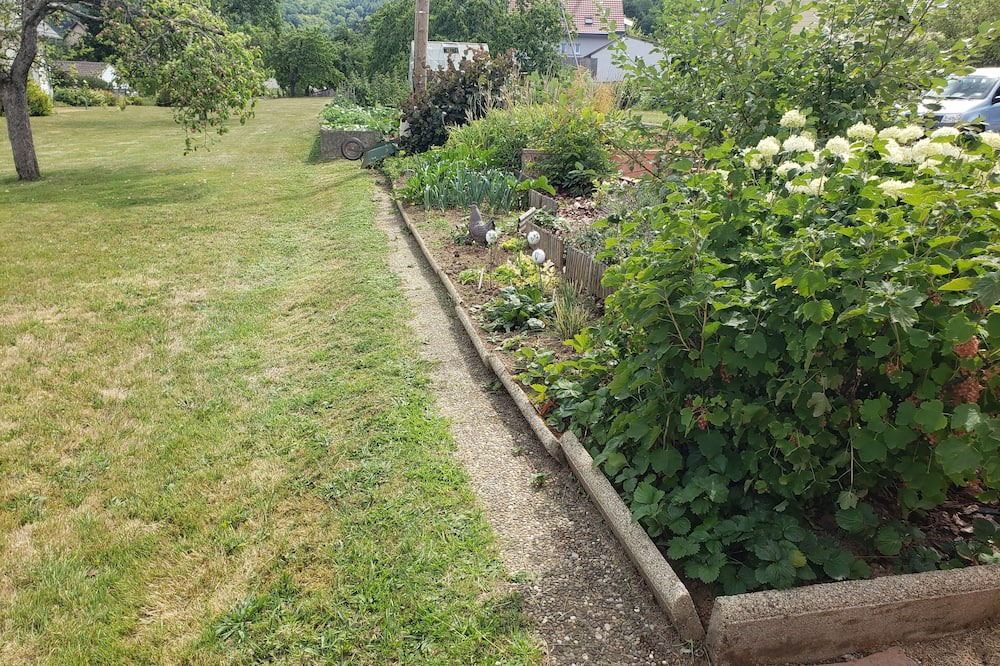 Photo of Outdoor in Schirmeck