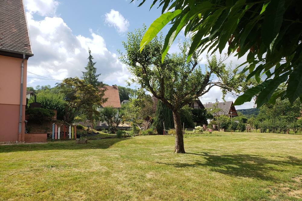 Photo of Outdoor in Schirmeck