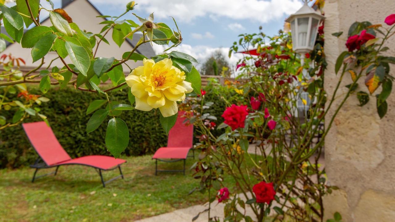 Photo of Outdoor in Amboise