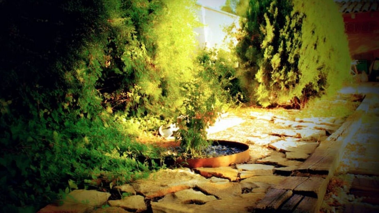 Photo of Outdoor in Penaranda de Duero