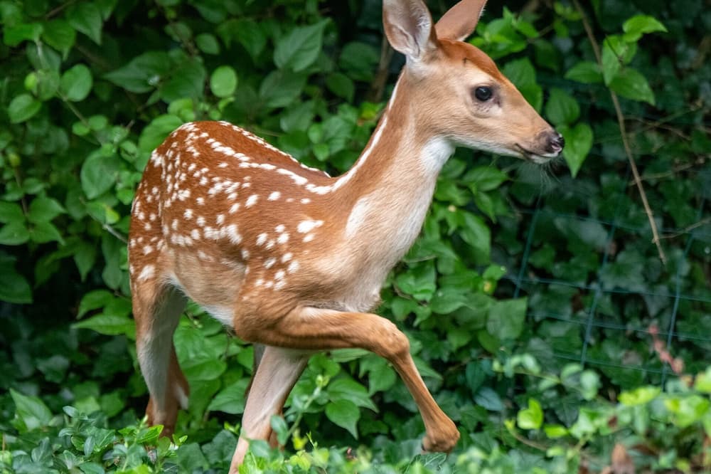 Photo of Others in Eagle Mountain