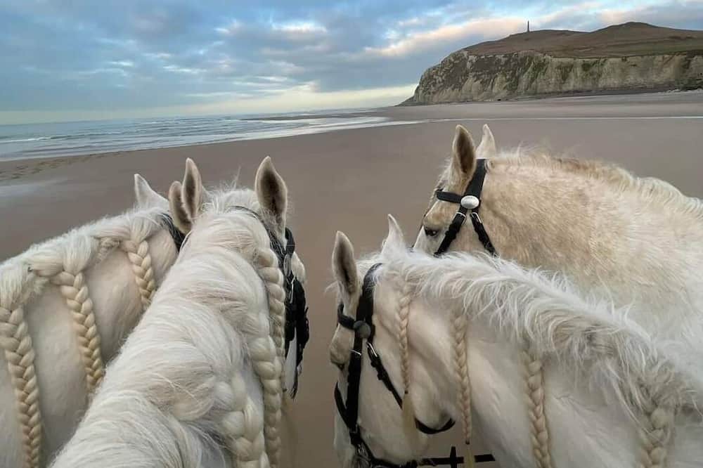 Photo of Others in Marquise