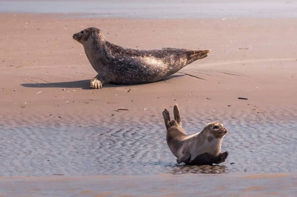 Photo of Others in Marquise