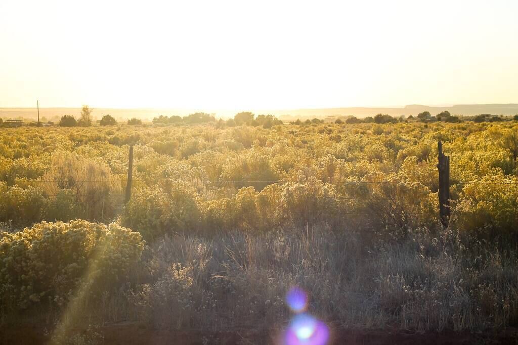 Photo of Outdoor in Cane Beds