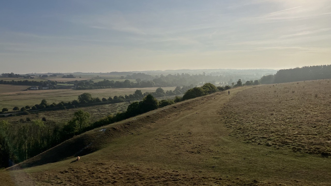 Photo of Others in Dorchester